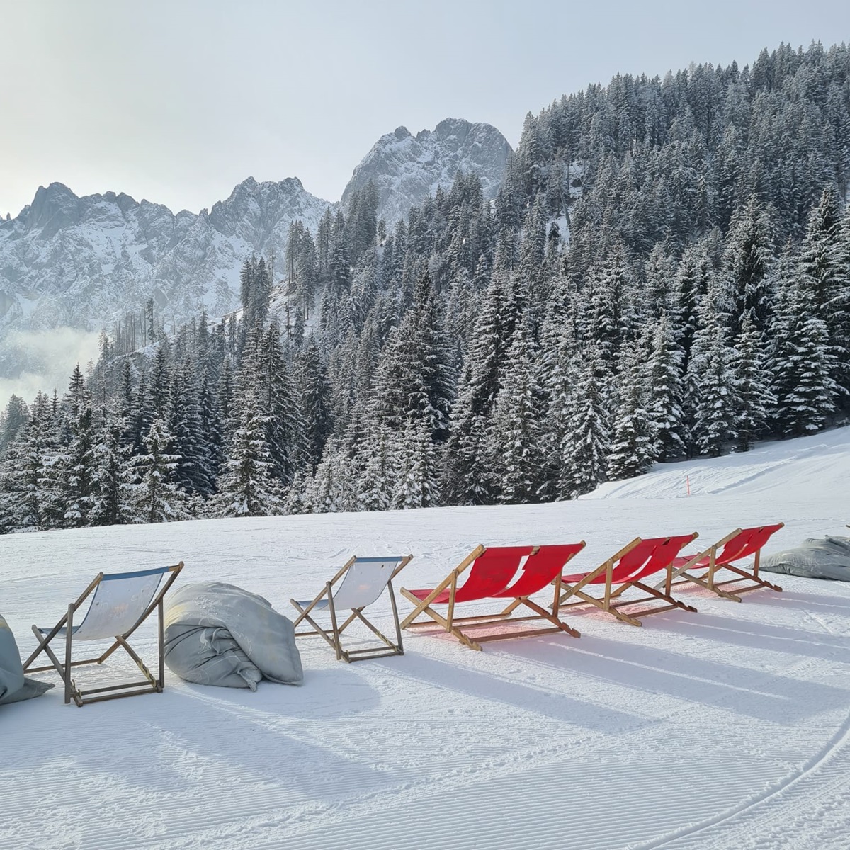 Tagesfahrt Gosau/Dachstein 2025
